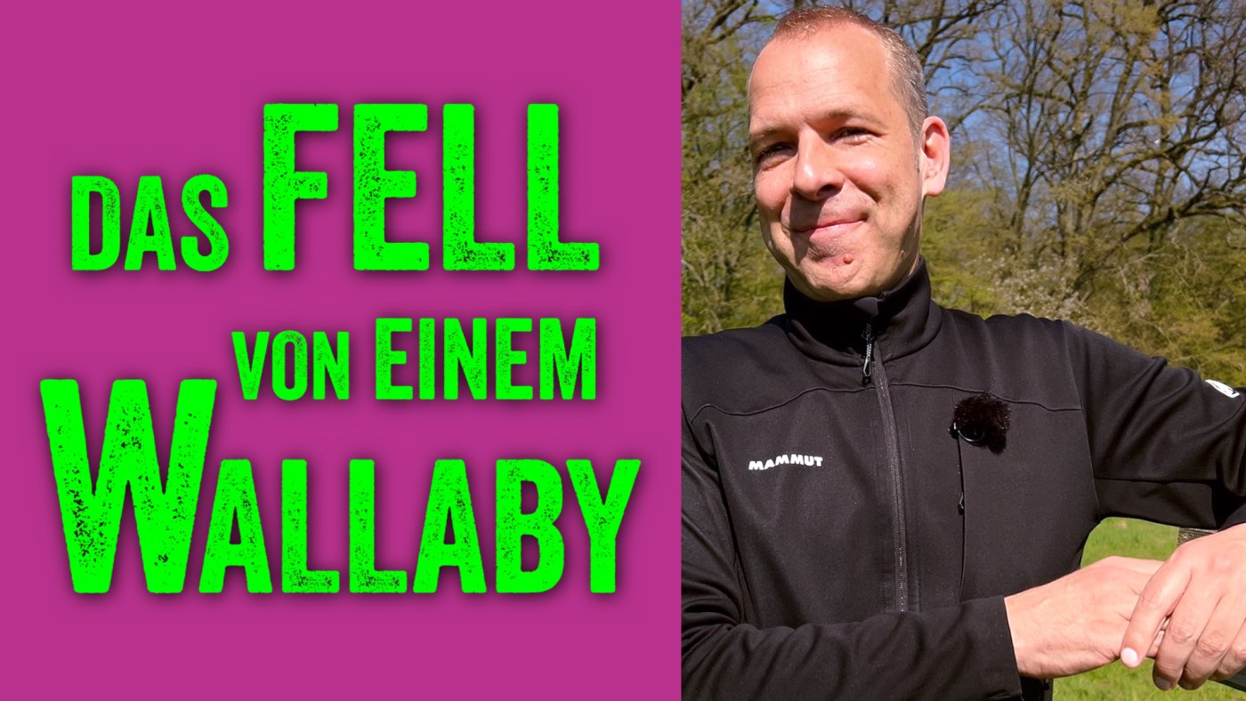 Website Helge Thun