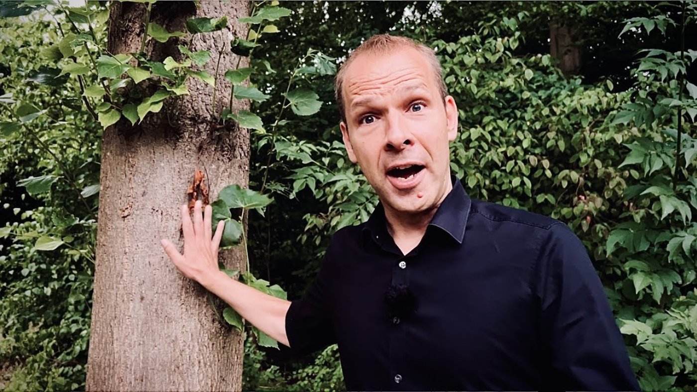  Website Helge Thun