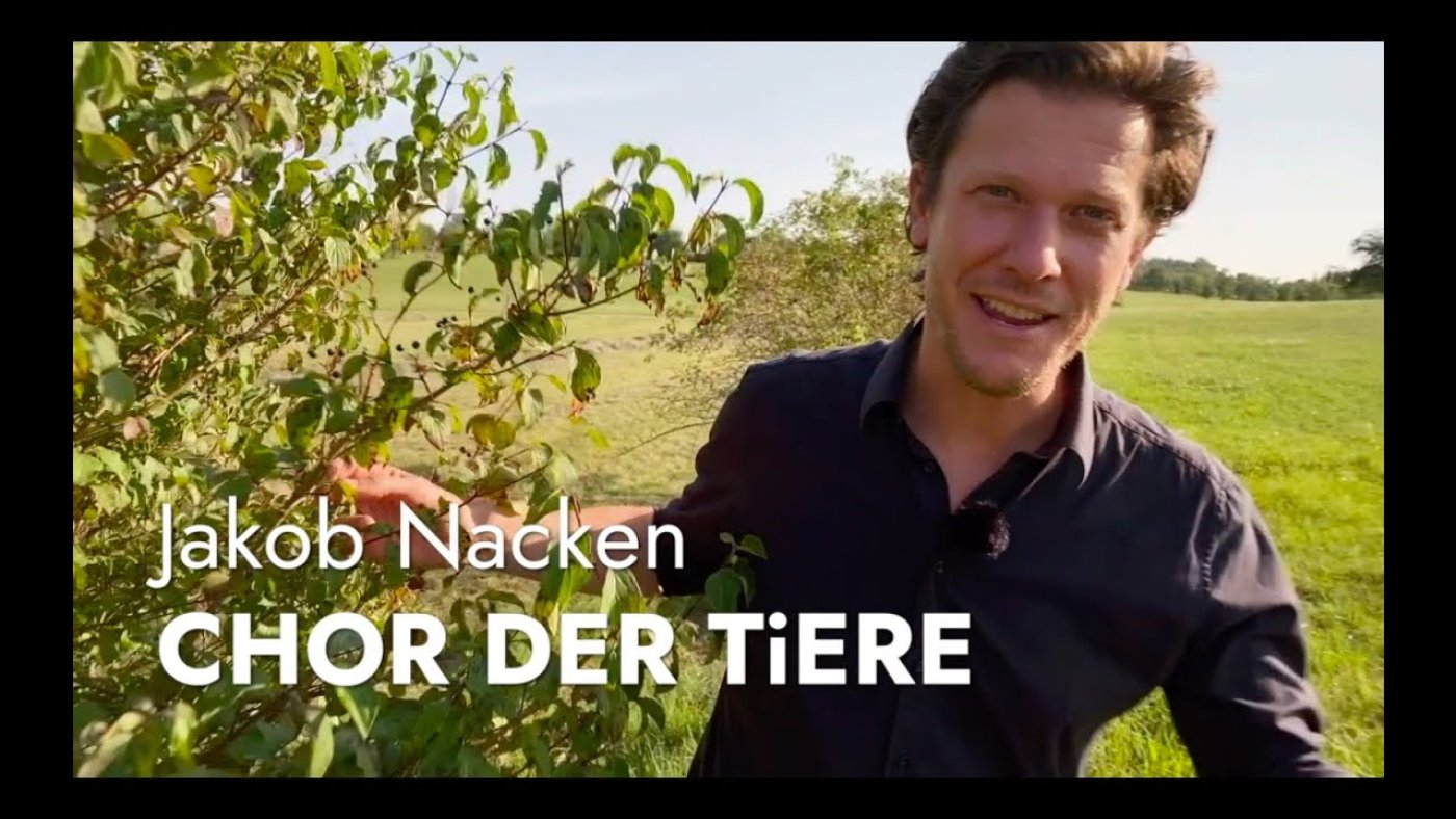 Website Helge Thun