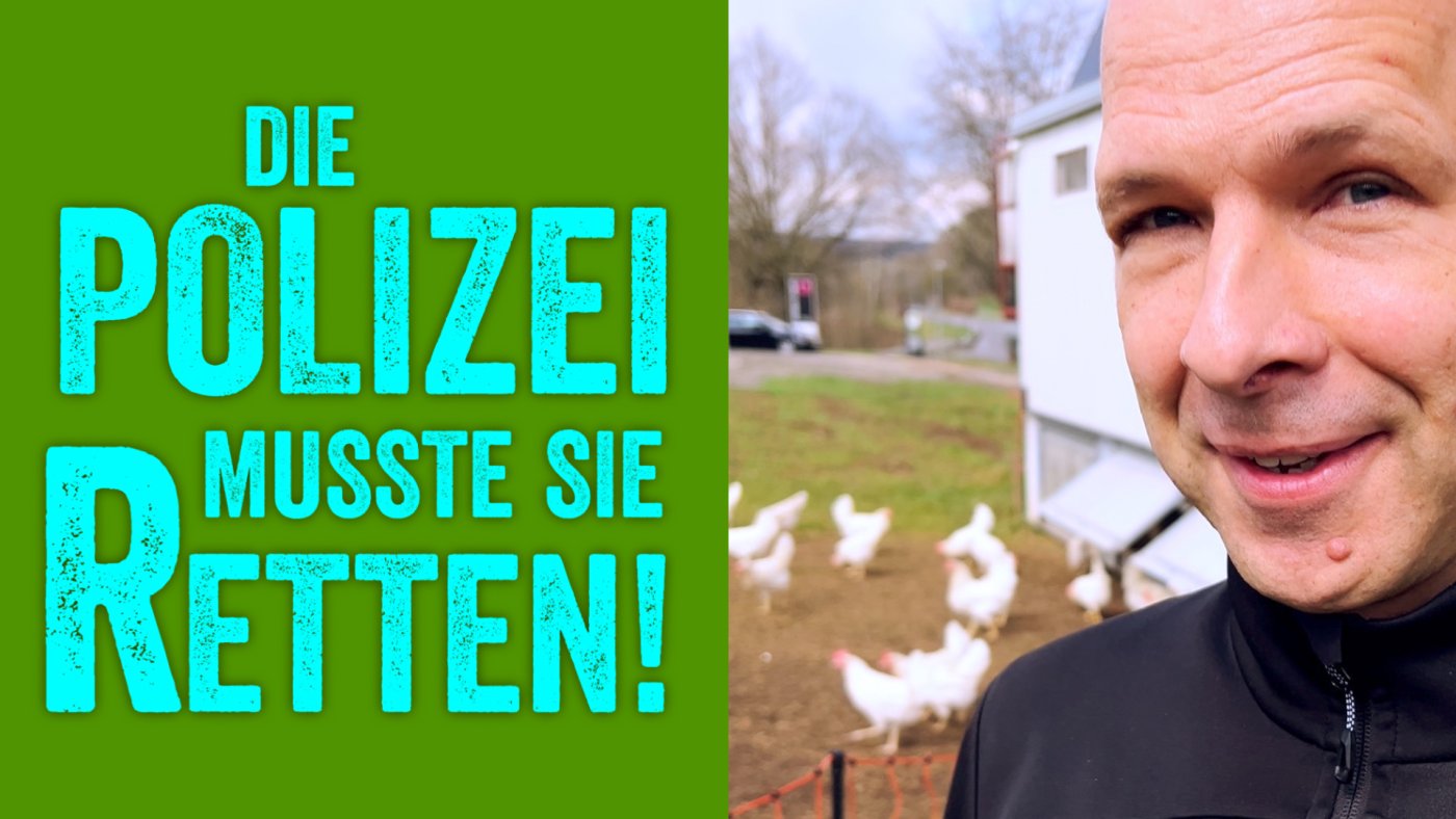 Website Helge Thun