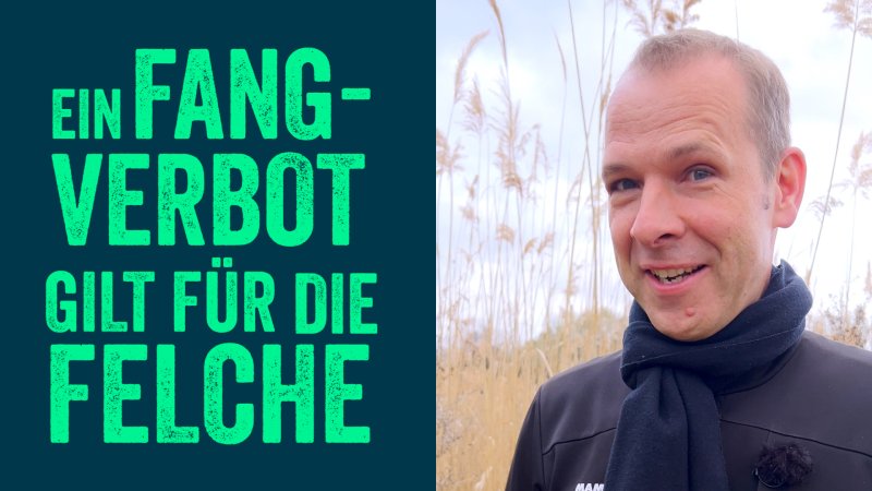  Website Helge Thun