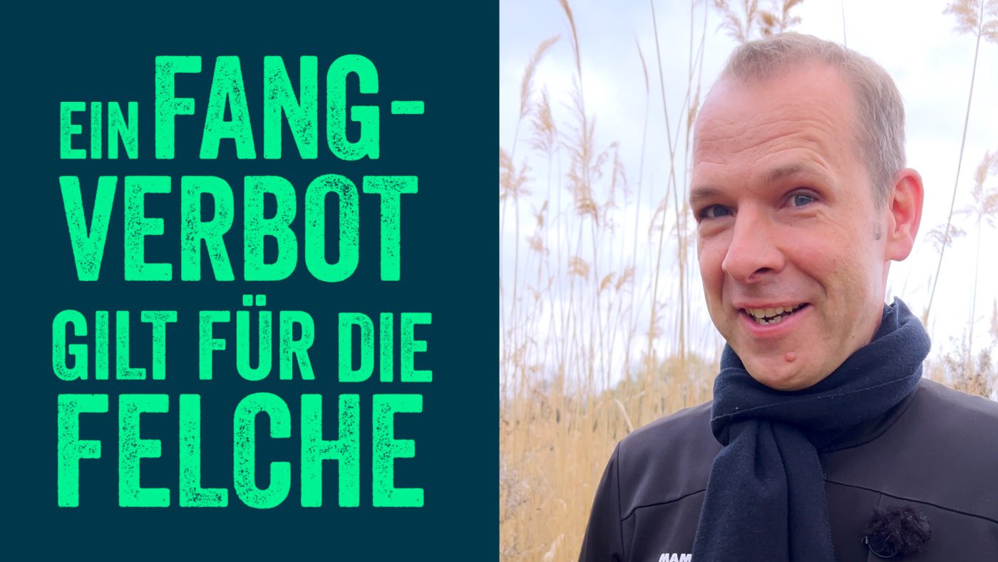 Website Helge Thun